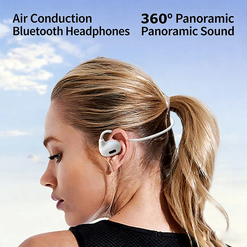 Bone Conduction Bluetooth Earp - đánh giá và giá Running Gear Phone Holder